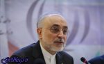 دنیا با فروریزی برجام آینده خوفناک خواهد داشت / صالحی